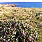 Mare Dello Ionio