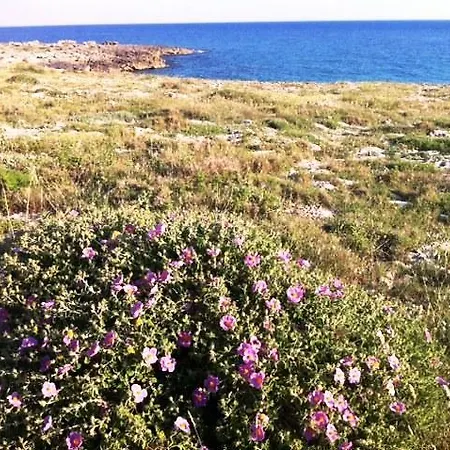 Mare Dello Ionio