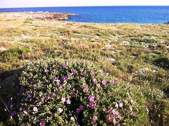 Mare Dello Ionio